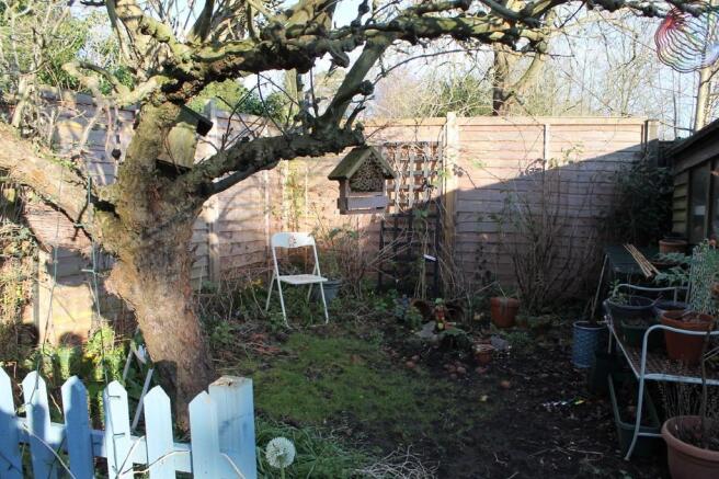 Photo 11