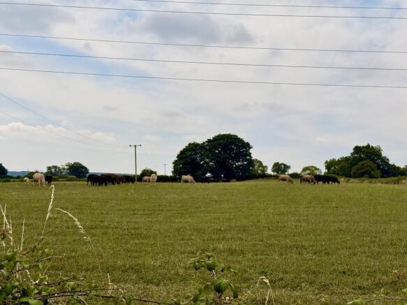 Countryside views