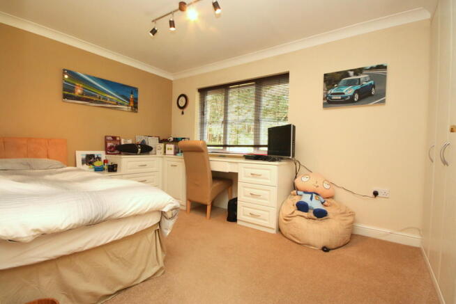 Photo 12