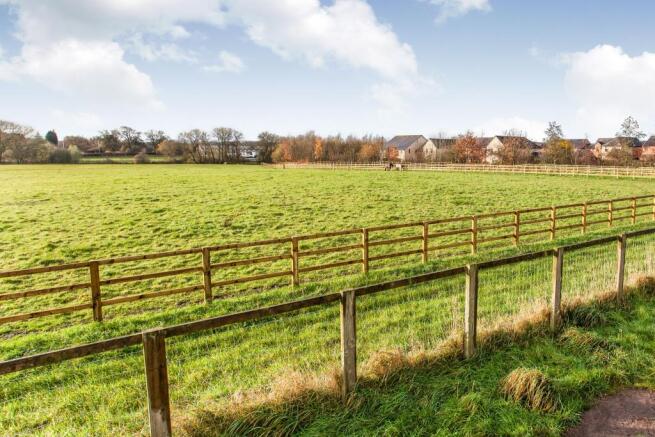 View Over Fields