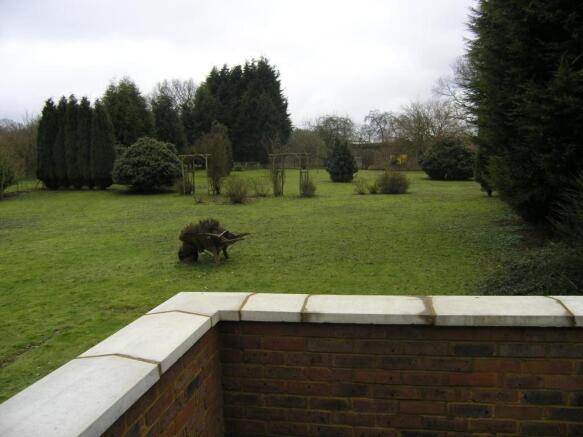 Photo 19