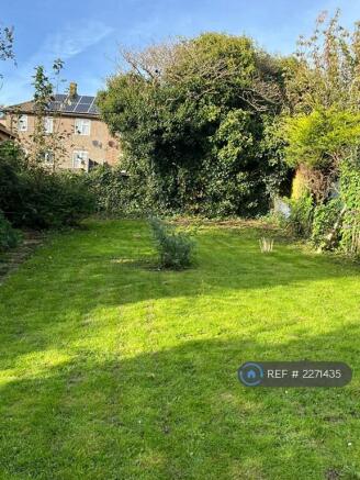 Back Garden