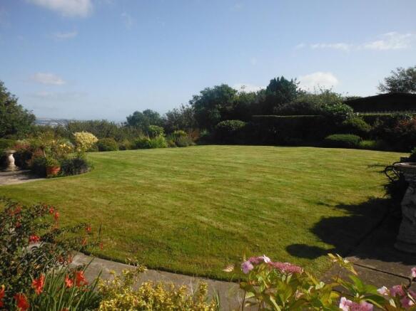 Rear view garden