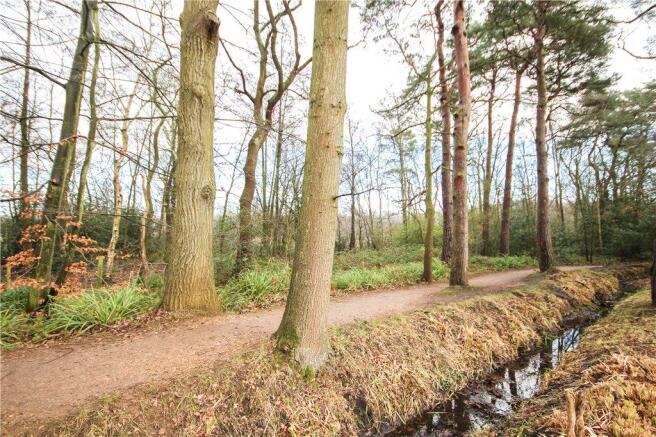 Nature Reserve