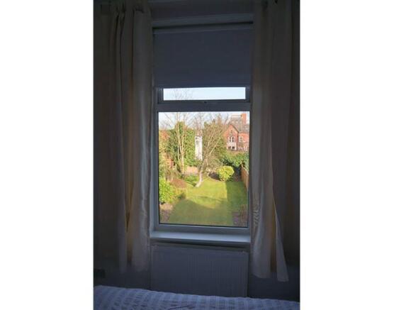 Extra image 6