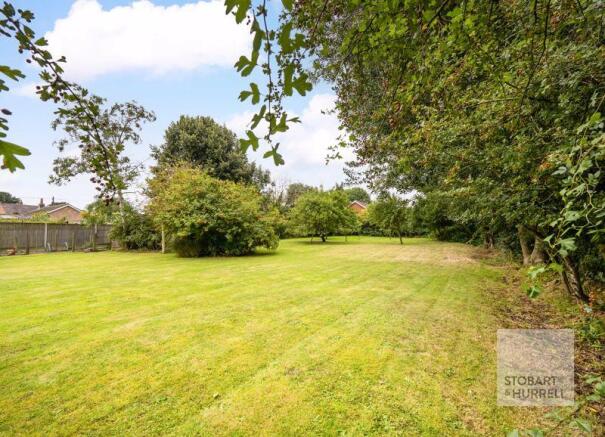Rear Lawn Garden