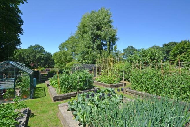 Veggie Patch