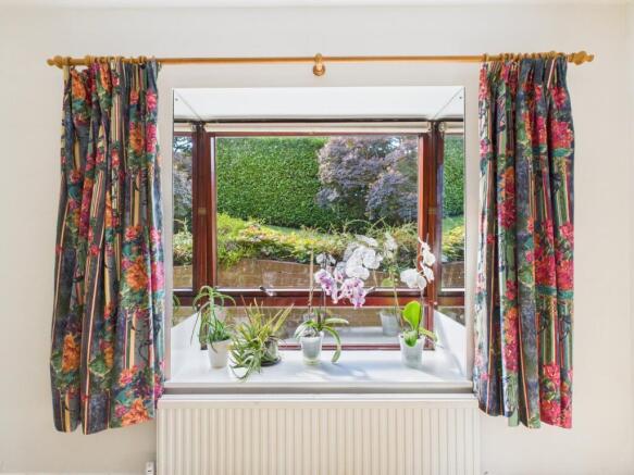 Bay Window