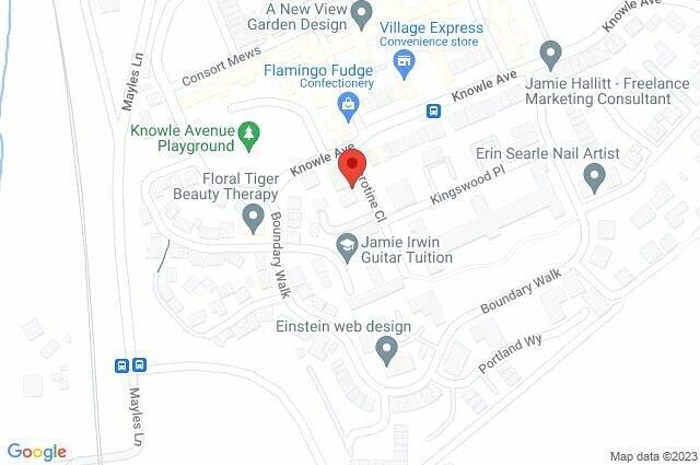 Google Maps Image