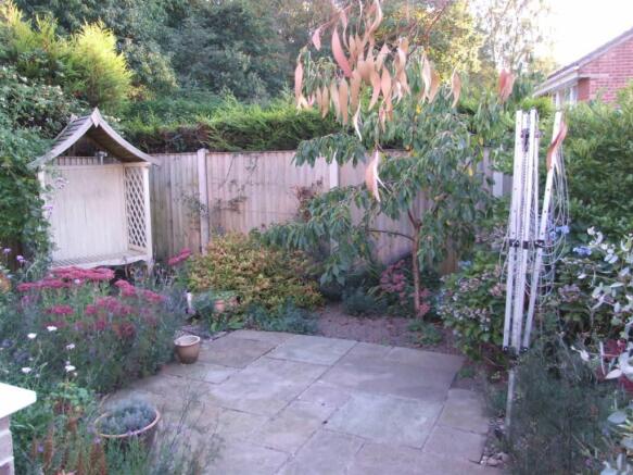 Photo 8