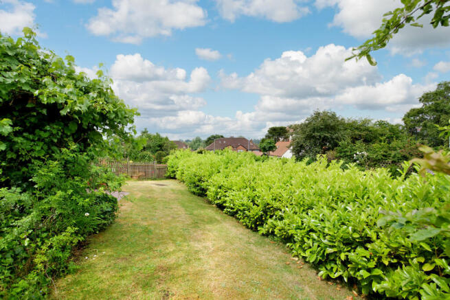 Photo 25