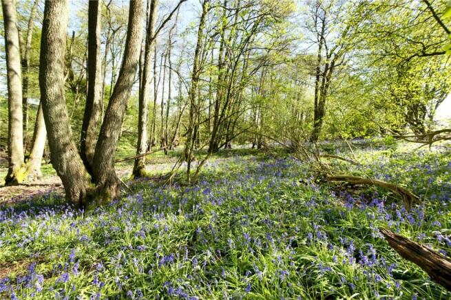 Woodland