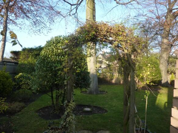 Rear garden