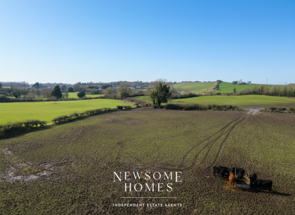 Farmland Views