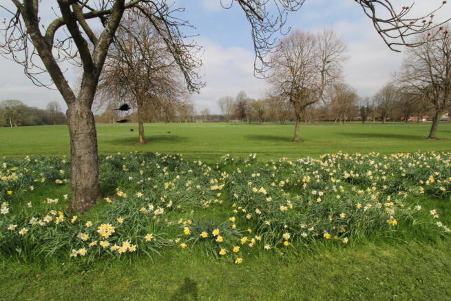 Llandaff Fields
