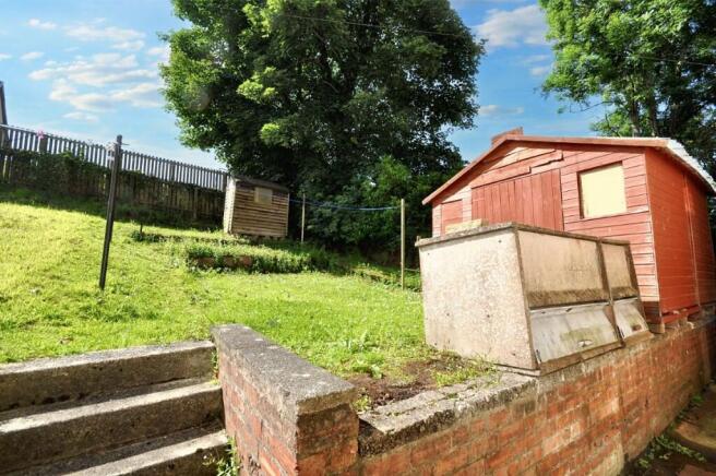 Back Garden