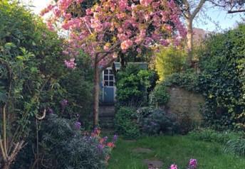 garden shot.jpg