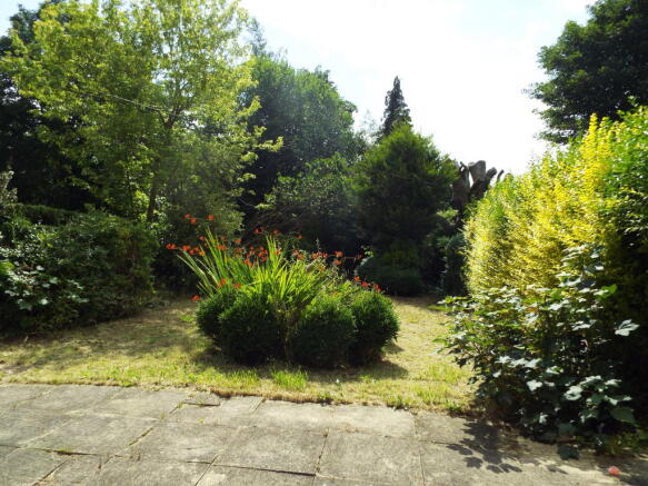 Photo 10