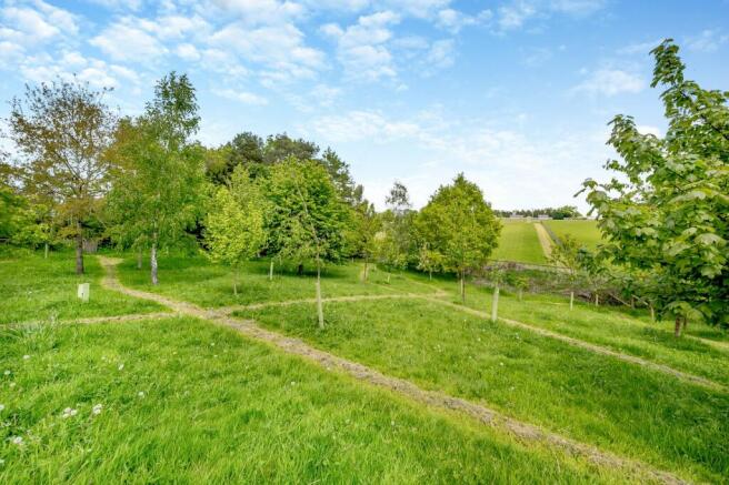 Orchard