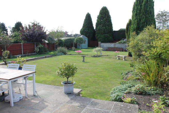 Photo 5