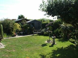 Garden 2