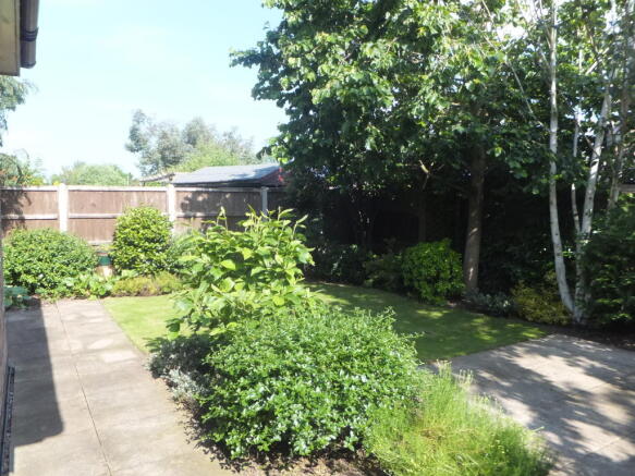 Photo 19