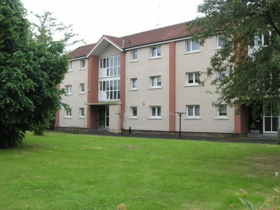 External