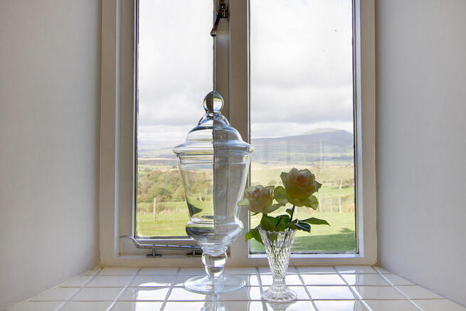 Kitchen view