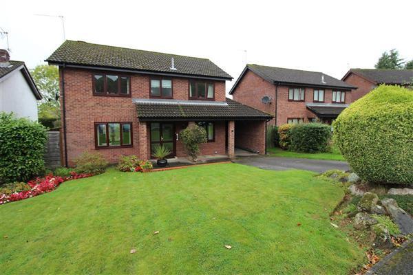 Front Garden Garage,