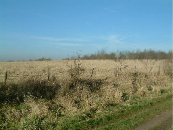 View over fields