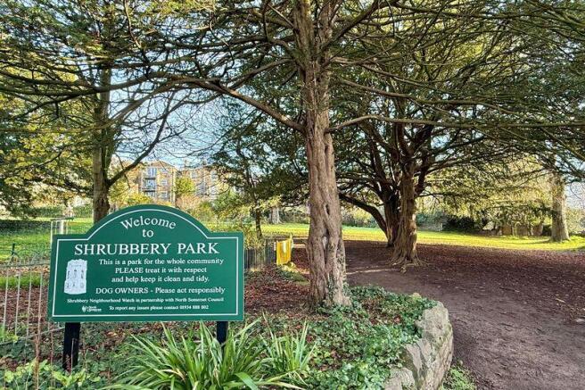Park Behind