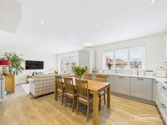 Kitchen / Living Area