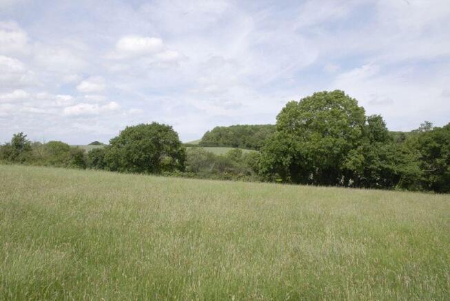 Pasture at rear 2