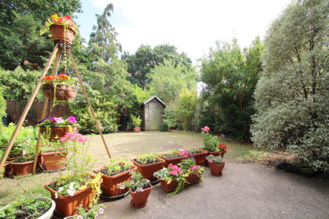 Photo 15