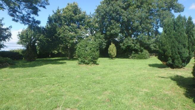 Photo 28