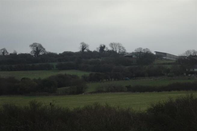 DSC01459.JPG