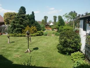 Rear Garden & Shed