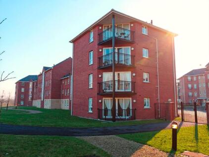 Ellerman Road, Liverpool, L3