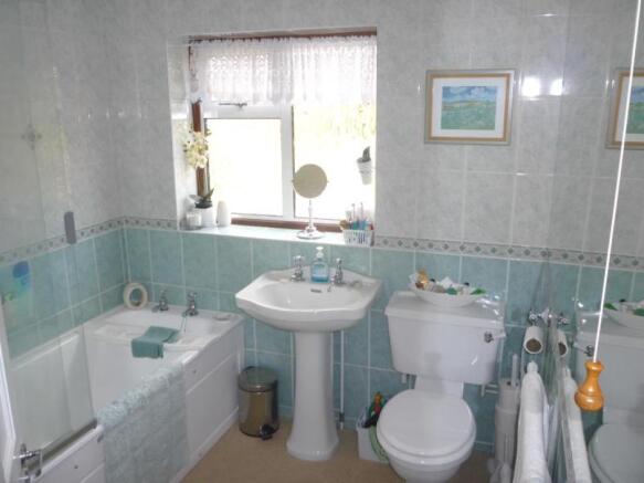 Image 11