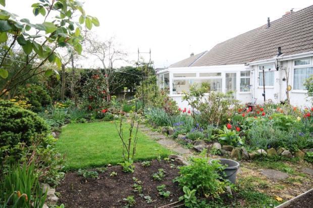 Garden 2