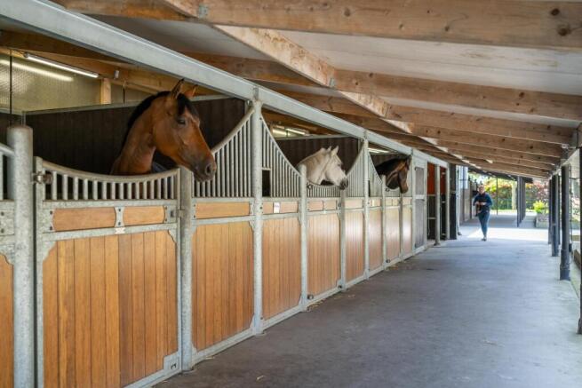 Kapelstraat 12 14 5595 GK LEENDE image 2