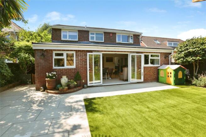 Back Shot