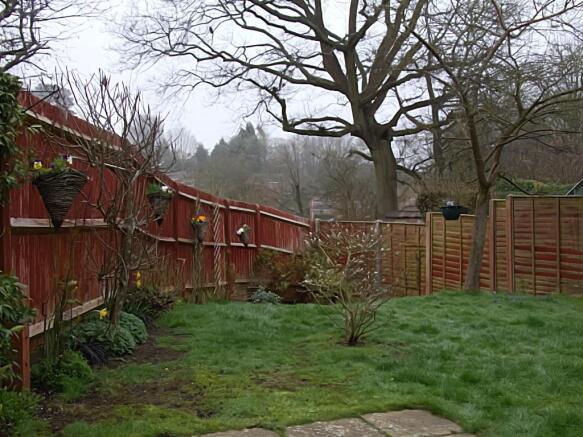 Garden at Back
