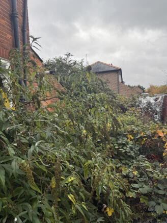 IMG 0209 T202511121618.jpeg