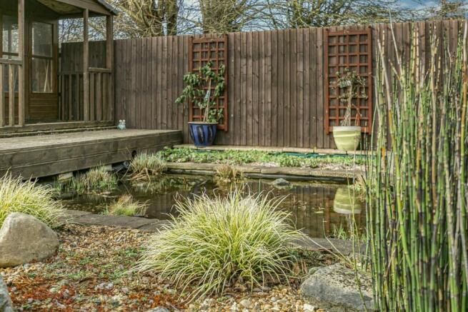 Garden 4.jpg