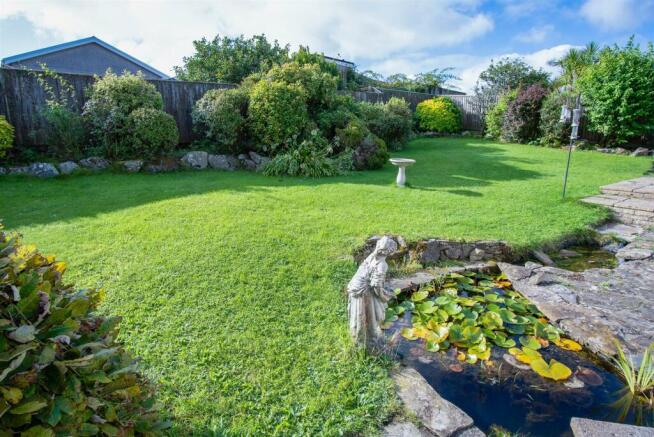 Garden and Driveway