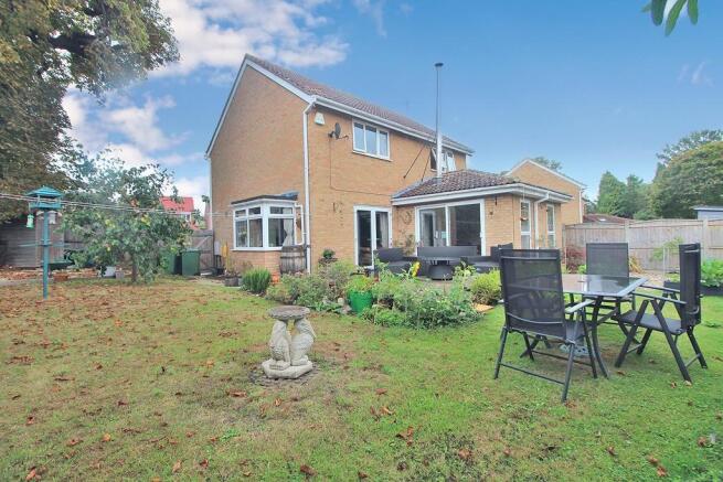 Back garden