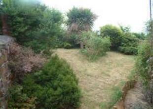 Picture 2