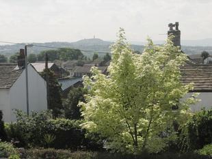 View From Bedroom 1