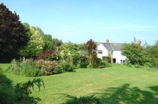 View further back